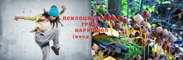 гашик Кукмор